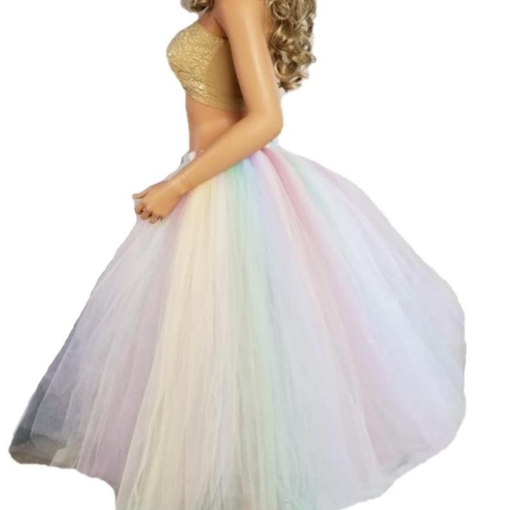 Adult Long Pastel Rainbow Tutu Skirt